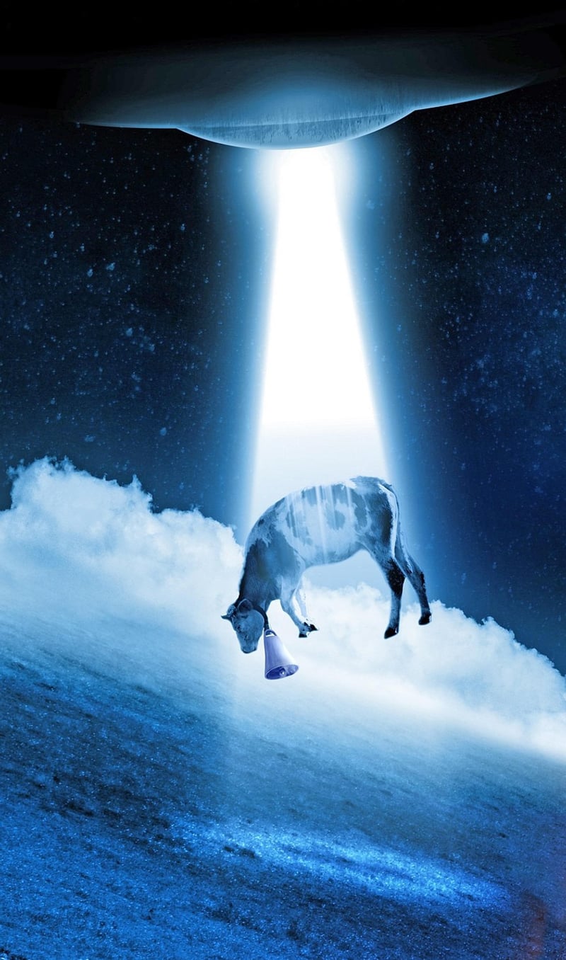 Alien Abduction